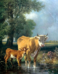 I Speak “Cow”