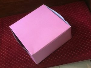 The Pink Box (Shepherd’s Echo)