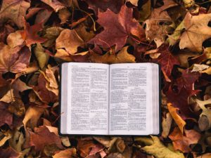 We are All Theologians (Shepherd’s Echo)